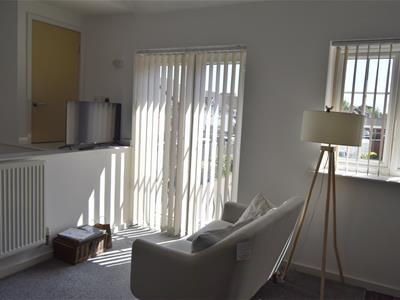 Picture 7